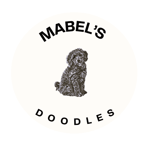 Mabel's Doodles